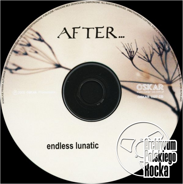 After... - Endless Lunatic