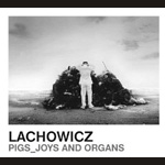Jacek Lachowicz - Pigs Joys And Organs