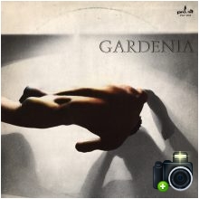 Gardenia - Gardenia