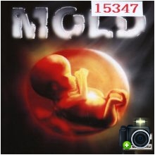 Mold - Mold